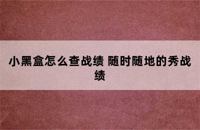 小黑盒怎么查战绩 随时随地的秀战绩